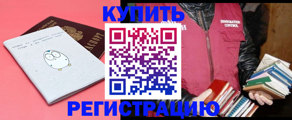 прописка поиск в Шлиссельбурге